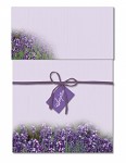 briefpapier met envelop
kringlooppapier
'lavendel'
12 vel, 12 enveloppen